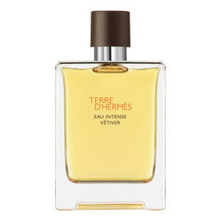 Hermes Terre d'Hermès Eau Intense Vétiver - woda perfumowana dla mężczyzn 100 ml